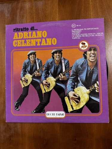 Disco vinile ritratto - vinile, 33"